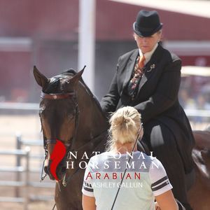 Meet your Posher, Julie