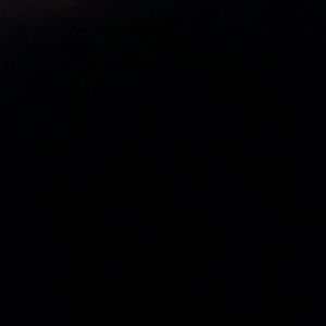 Meet your Posher, Paige