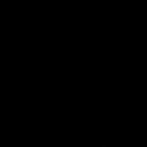 Meet your Posher, Sabrina