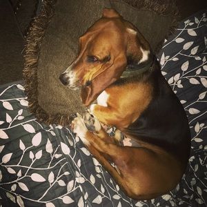 Meet your Posher, Lorraine