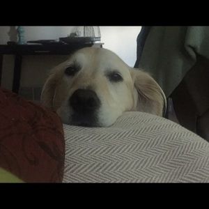 Meet your Posher, Martha