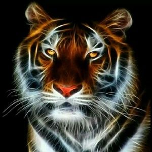 Meet your Posher, Tesha