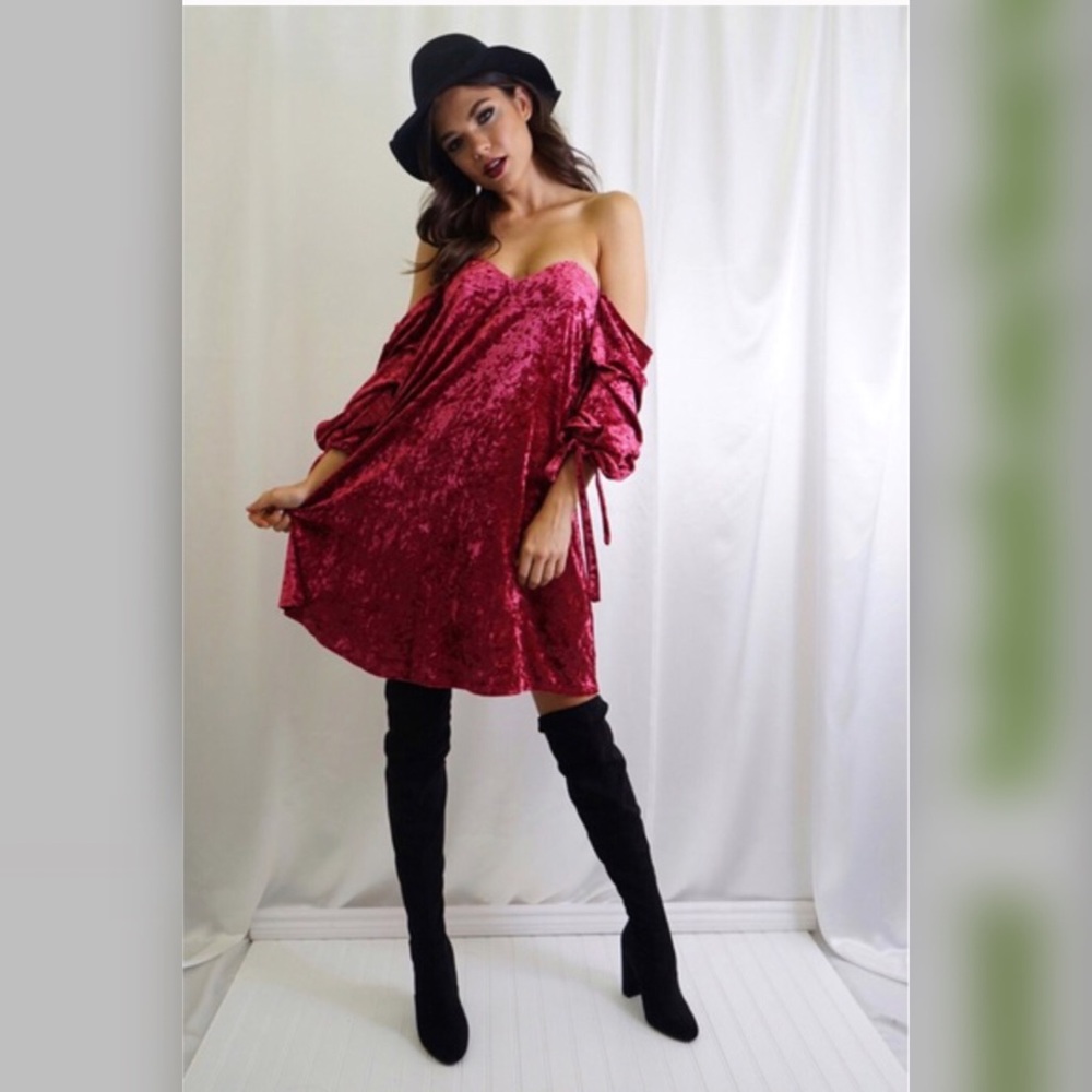 HP Elena Velvet Shift Dress - Picture 6 of 8