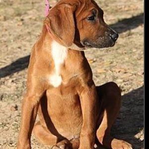 Meet your Posher, Katelyn