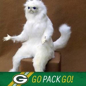 Meet your Posher, Dakota