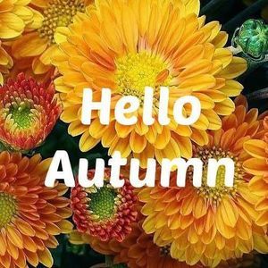 Meet your Posher, Annette