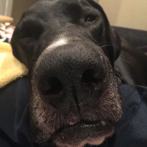 Meet your Posher, Aaron