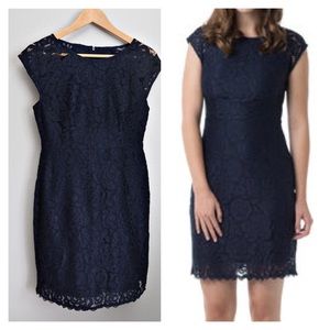 FLASH SALE! Black Swan Lelani Dress in Navy