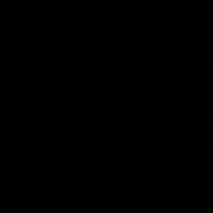 Meet your Posher, Alina