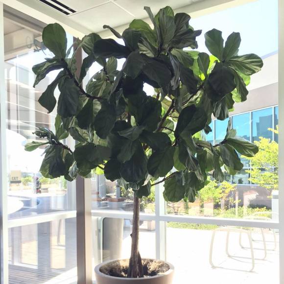 Meet your Posher, Kim - Picture 1 of 1