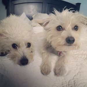 Meet your Posher, Tracee