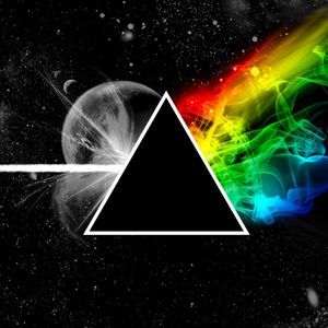 Meet your Posher, Armando