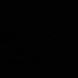 Meet your Posher, Terry