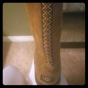Tall Chestnut Uggs