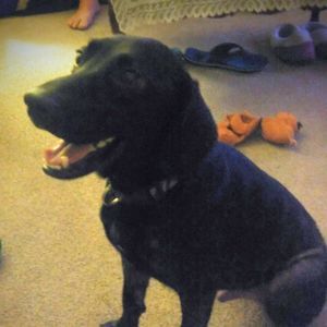 Meet your Posher, Connie