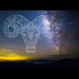 Meet your Posher, Jerry