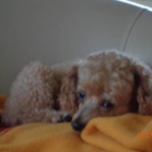 Meet your Posher, Mary