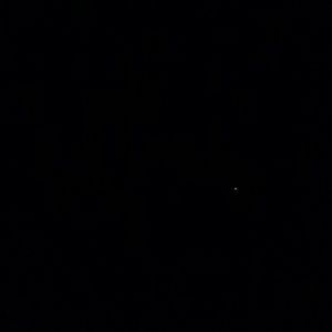 Meet your Posher, Bee