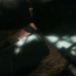 Meet your Posher, Jerry