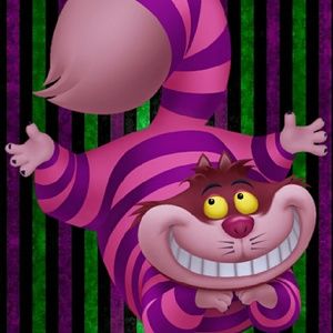 Meet your Posher, Evelyn