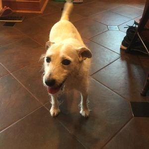 Meet your Posher, Kristen burns