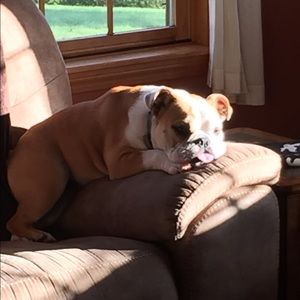 Meet your Posher, Danielle