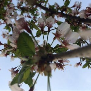 Meet your Posher, Molly