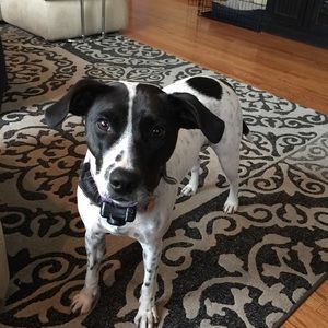 Meet your Posher, Cheryl