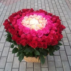 Meet your Posher, Dana