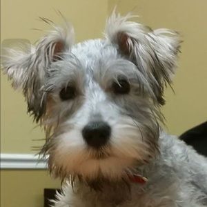 Meet your Posher, Deann