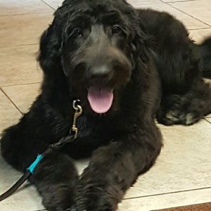 Meet your Posher, Stacy