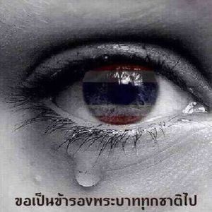 Meet your Posher, Siripron