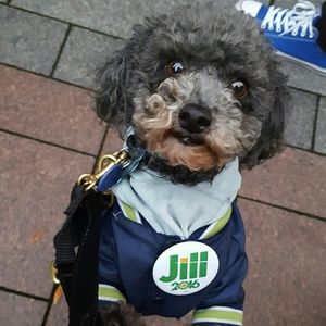 Meet your Posher, Rosario