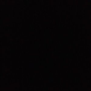 Meet your Posher, Janele