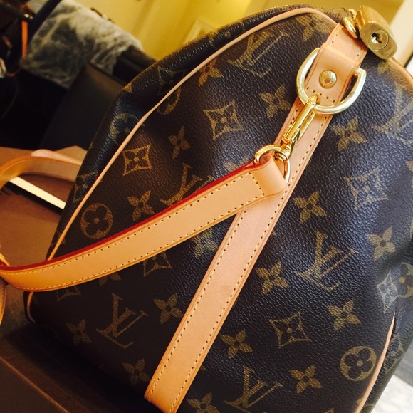 Louis Vuitton Handbags - More Pics