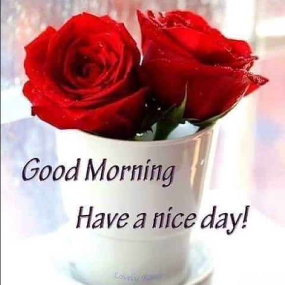 Meet your Posher, Purvi - Picture 1 of 1