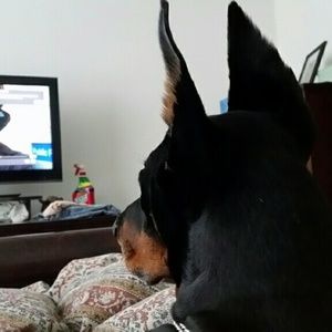 Meet your Posher, Montez