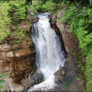 Meet your Posher, Ray