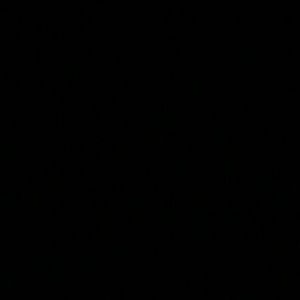 Meet your Posher, Donovan