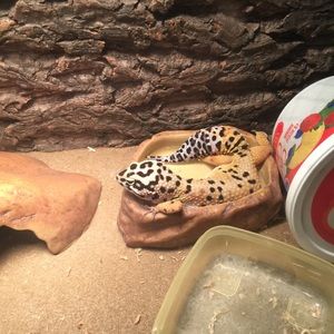 Meet your Posher, Ben