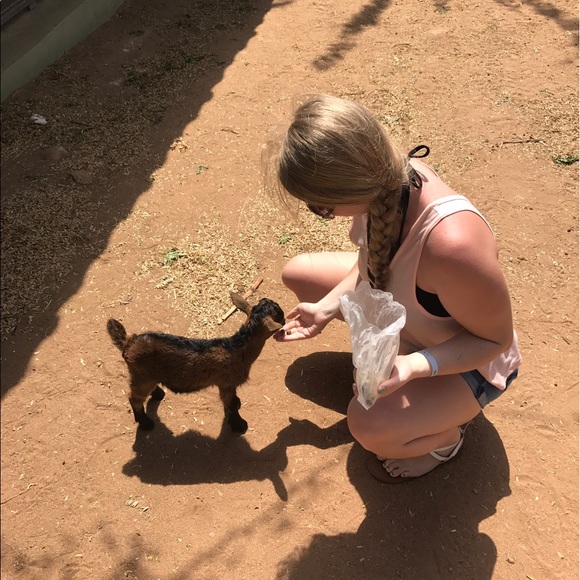 Meet your Posher, Caitlin - Picture 4 of 4