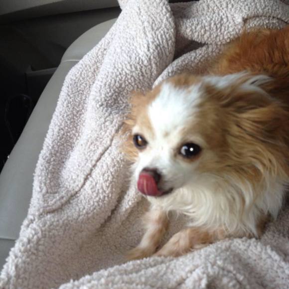 Meet your Posher, Donna