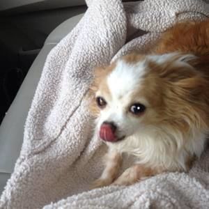 Meet your Posher, Donna