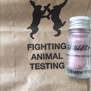 Lush Oxford St Skilled Earth Eye Powder