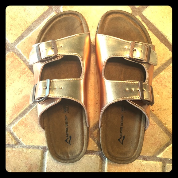 Alpine Design Birkenstocks