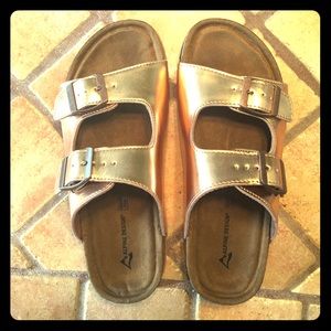 Alpine Design Birkenstocks