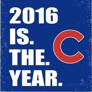 Meet your Posher, Kelli