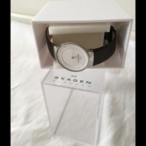 Silver and brown Skagen watch