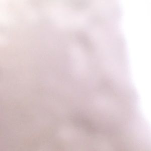 Meet your Posher, Shayla