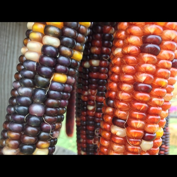 Meet your Posher, Jenn - Picture 3 of 5